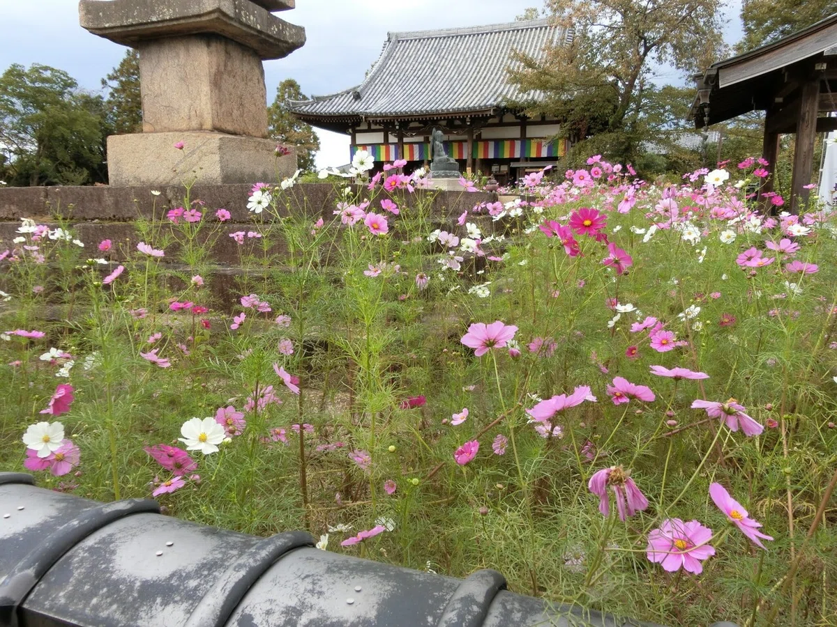 画像20