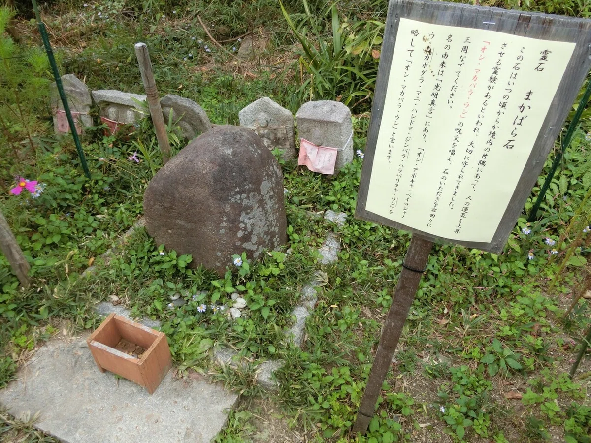 画像22
