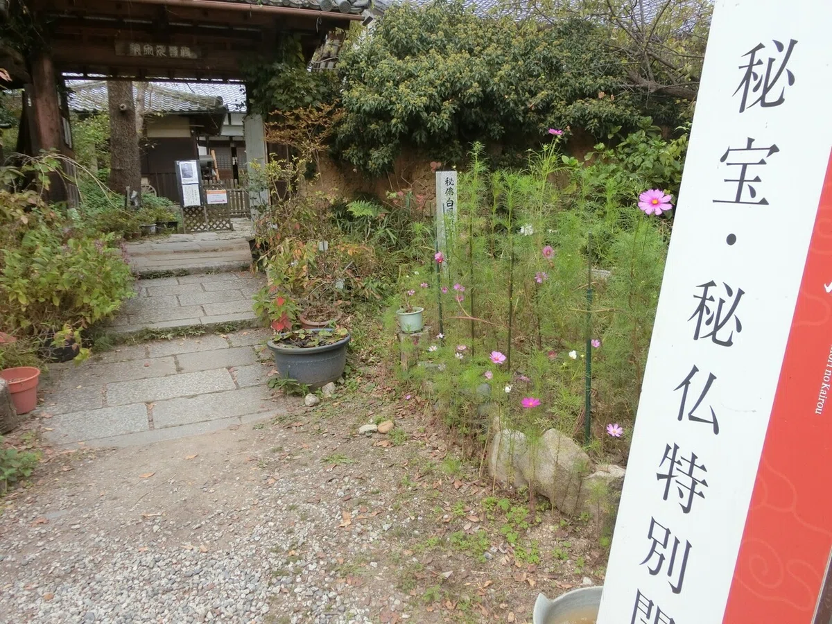 画像29