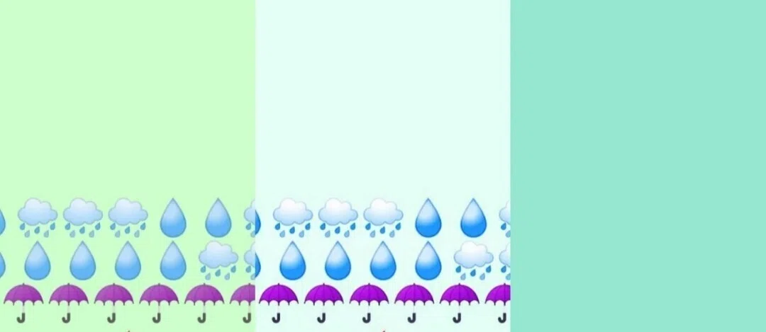 画像12