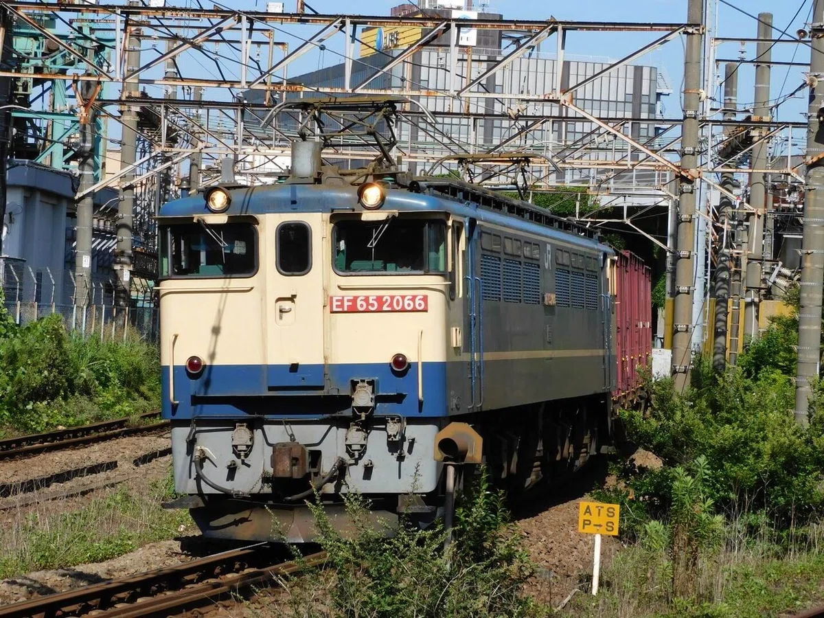 画像5