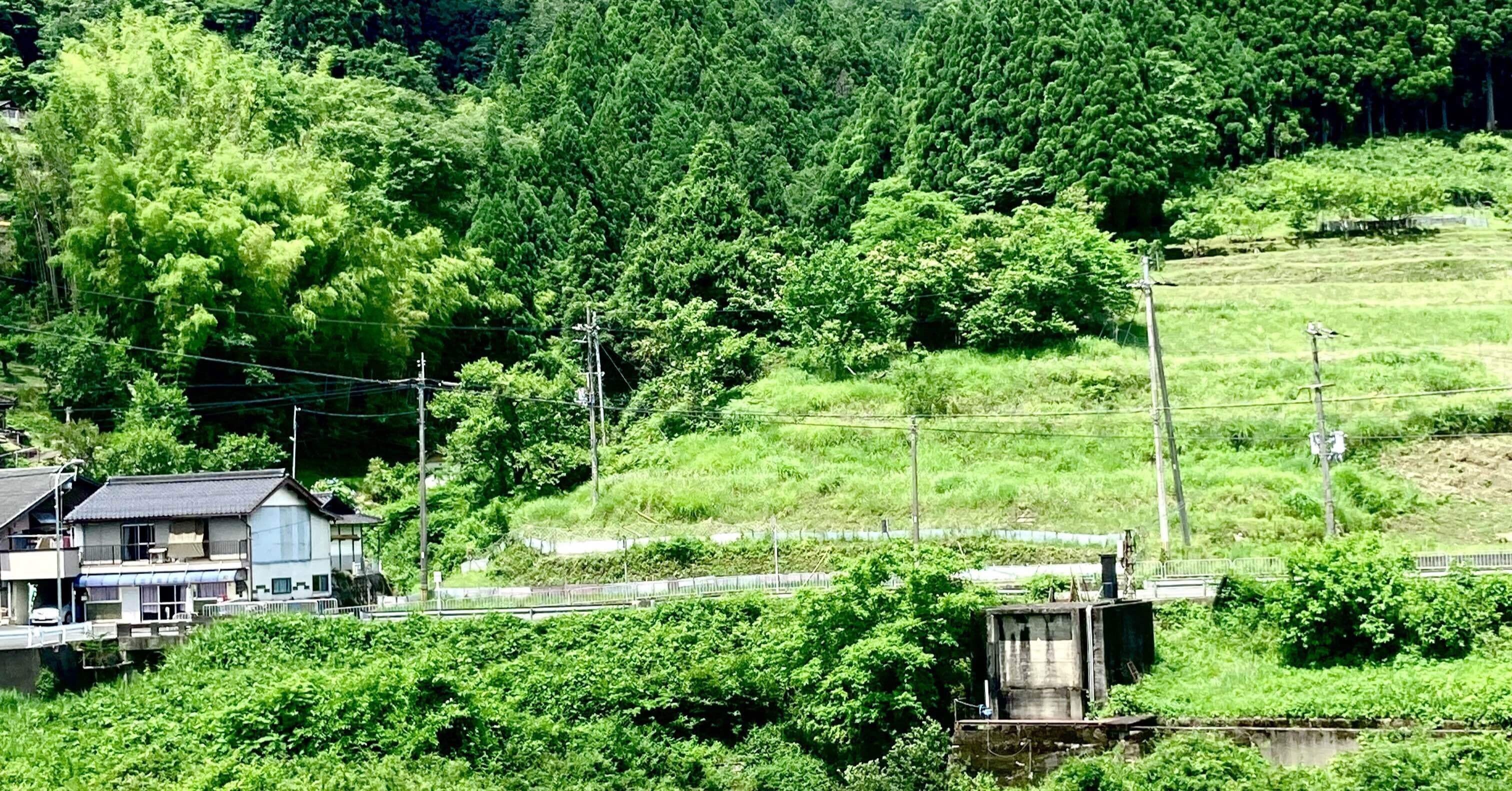 6fc4a35540bd46a463082425e16ed3