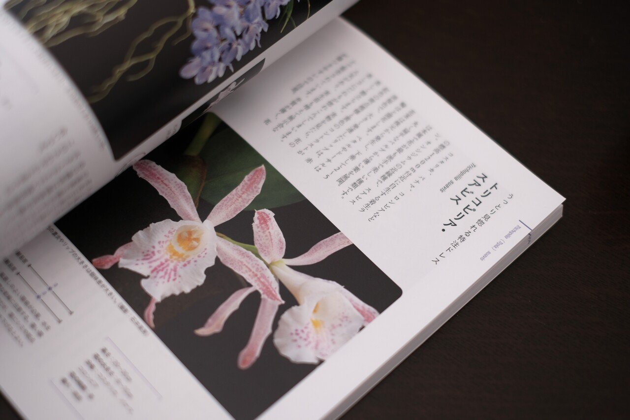 植物のある暮らし｜編集者の推し本｜ヤマケイの本