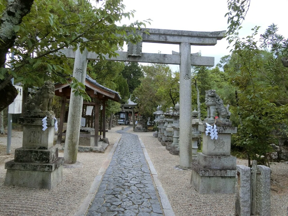 画像2