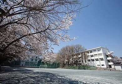 画像7