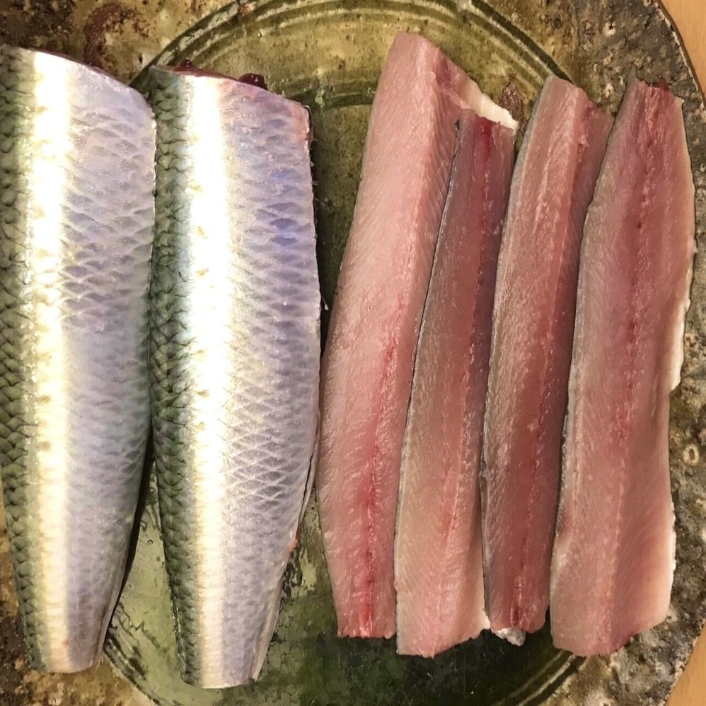 まるまる太った神戸産のイワシが美味しいです 74歳すし屋のnote 74歳すし屋のnote 現役 Note
