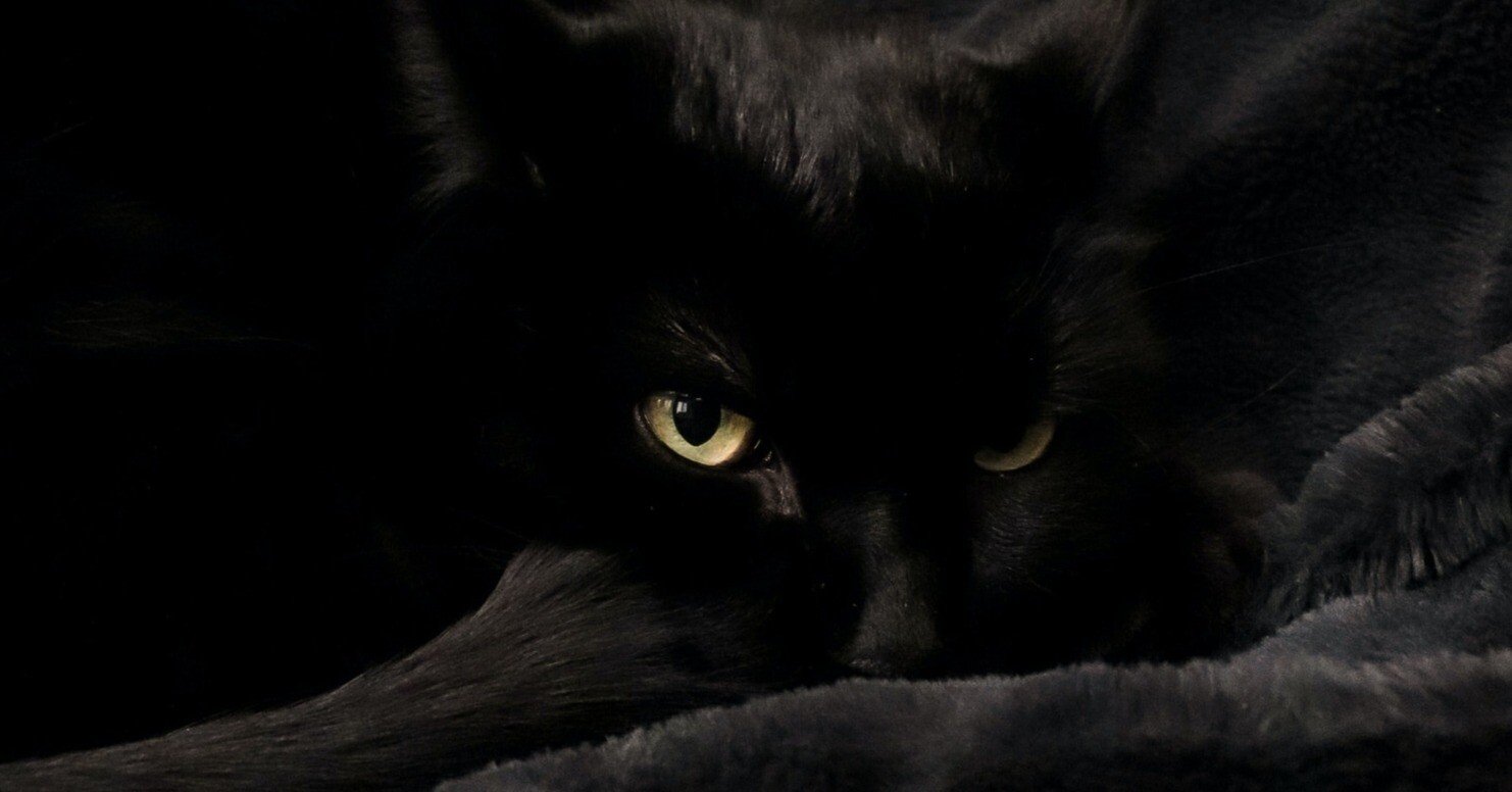 黒猫へのレクイエム Yasu Note