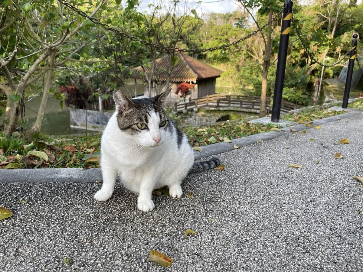 画像5