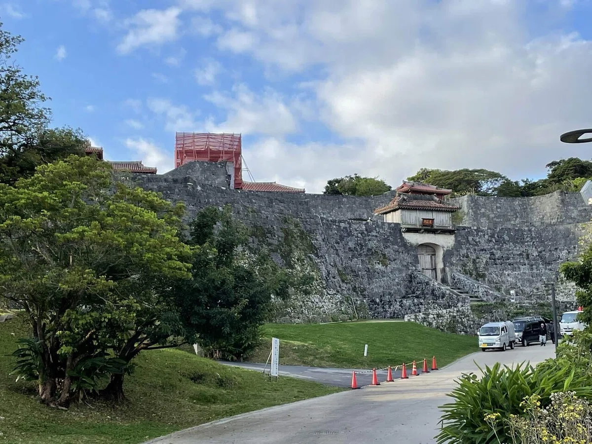 画像8
