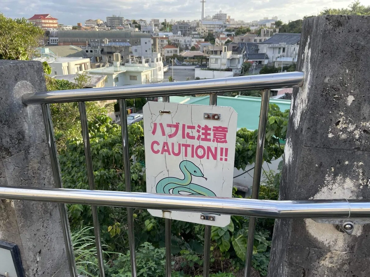 画像11