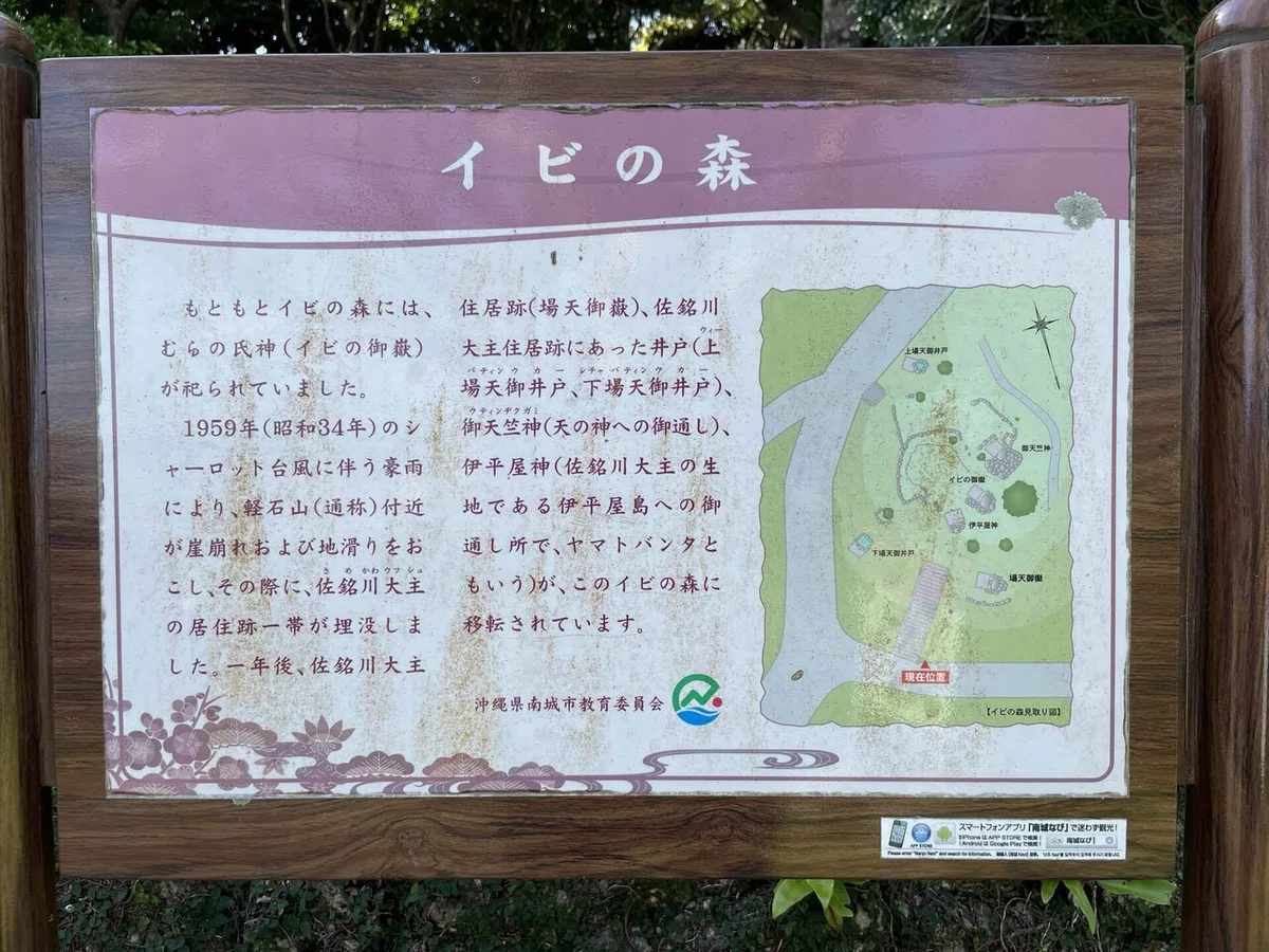 画像66