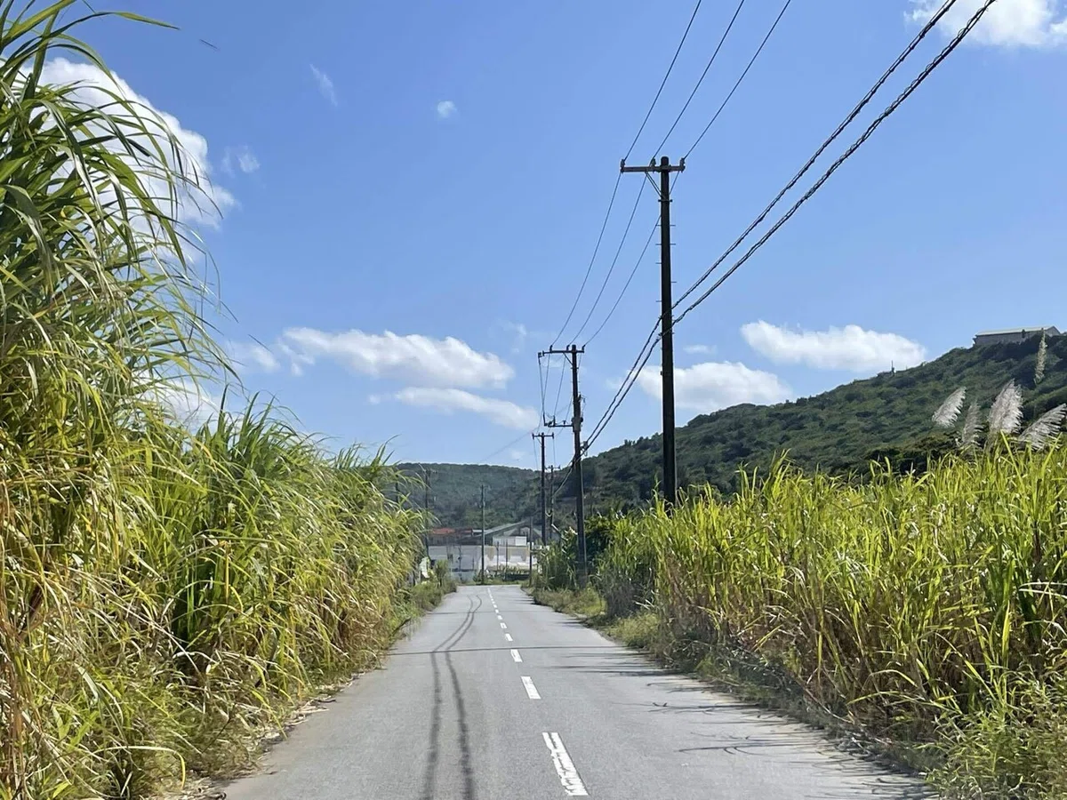 画像72