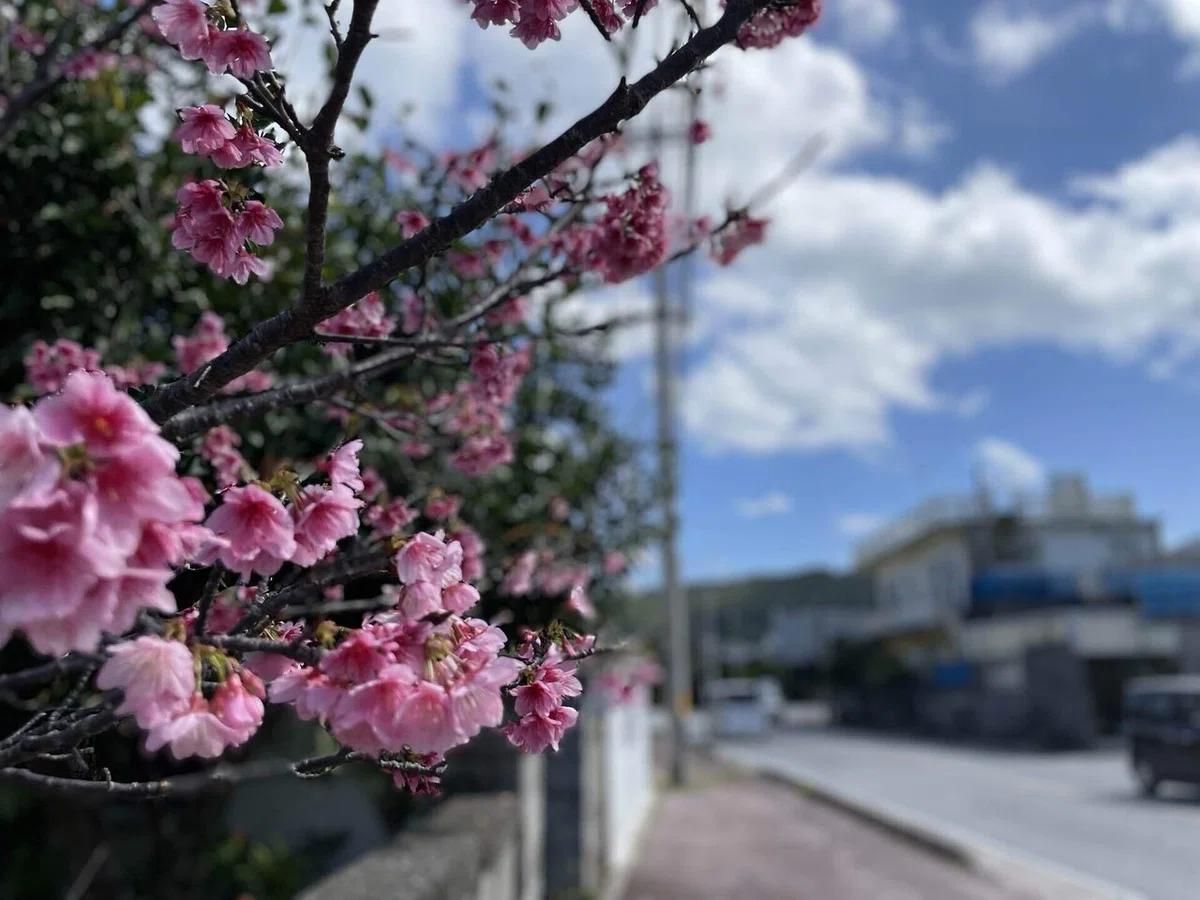 画像86