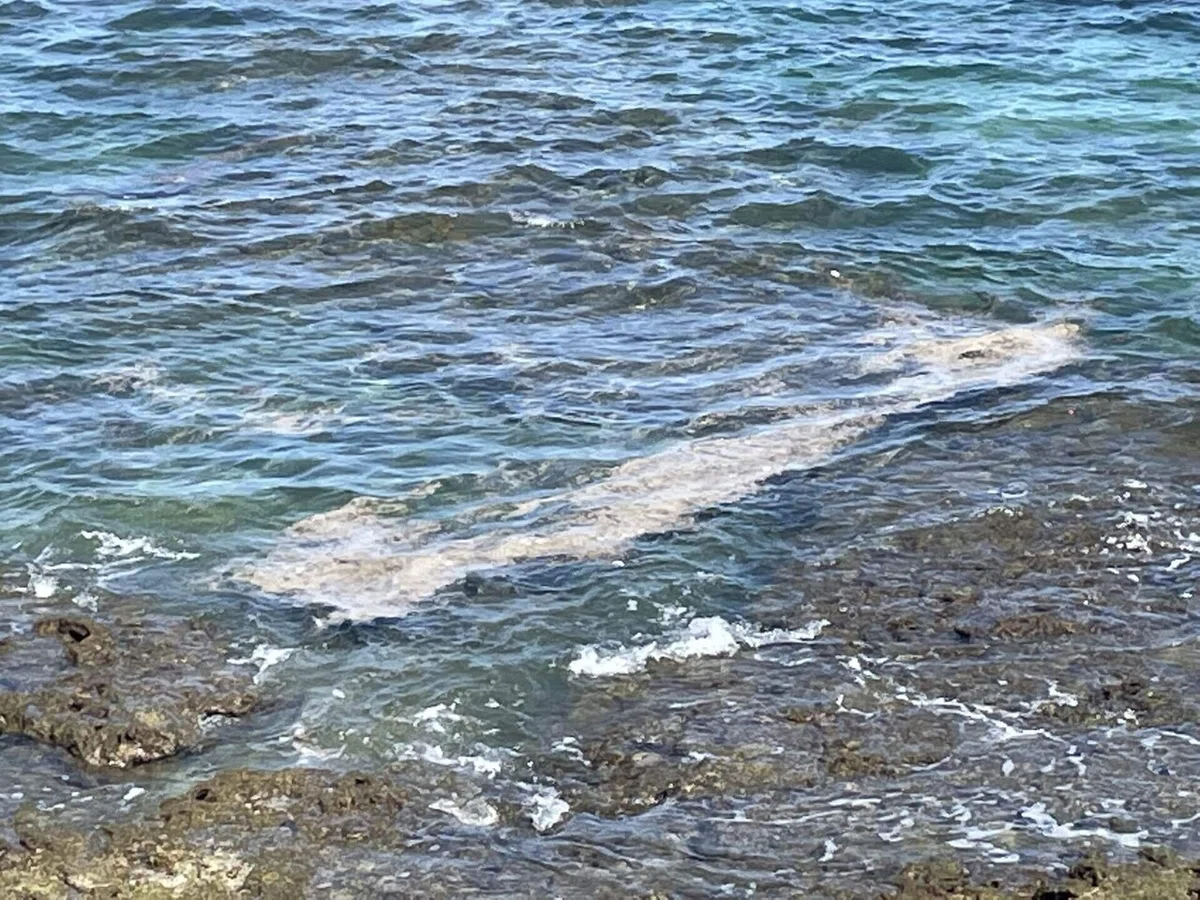 画像112