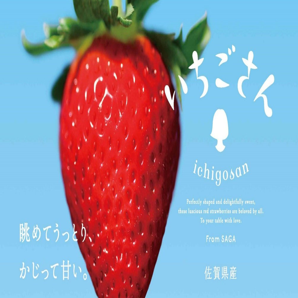 いちごさんページ いちごさんページ いちごさん専用 いちご様購入専用 いちご adidas ZX 8000