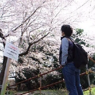 よざっち