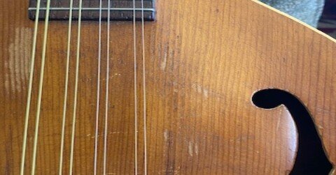 フラットマンドリン Gibson A-40｜miya1955