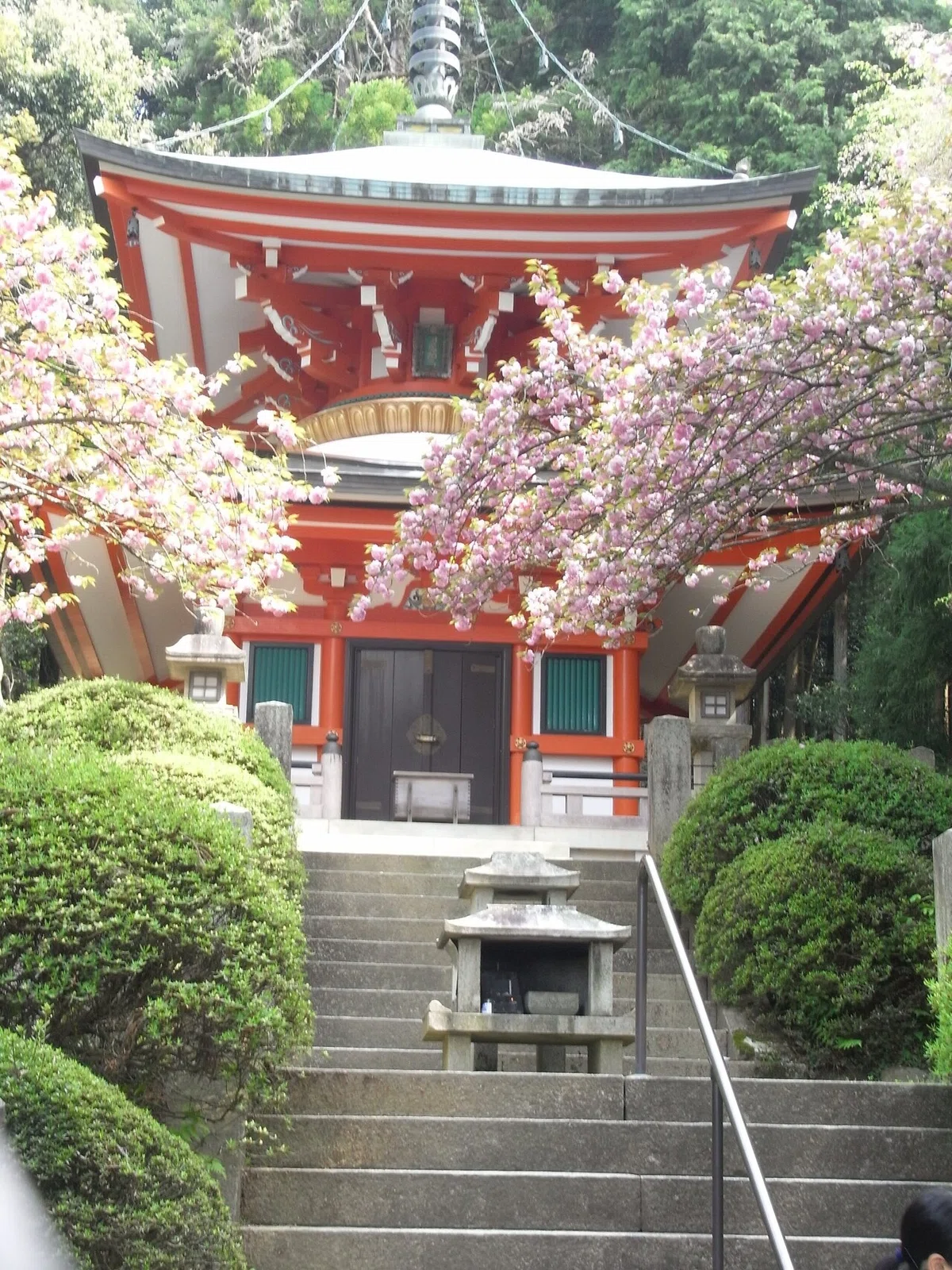 画像6