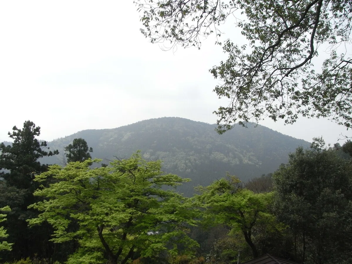 画像8