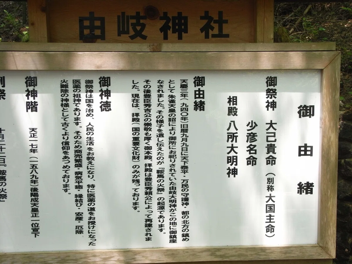 画像13