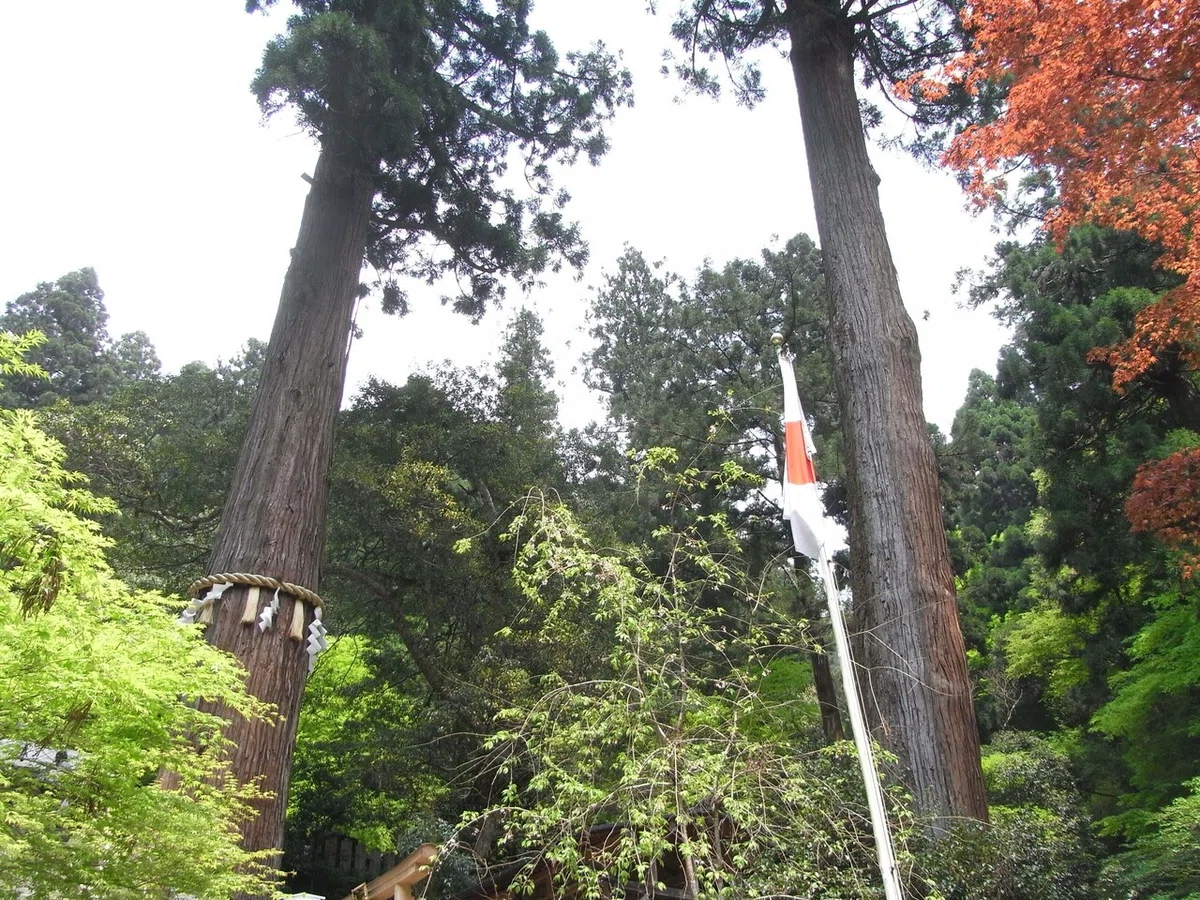 画像20