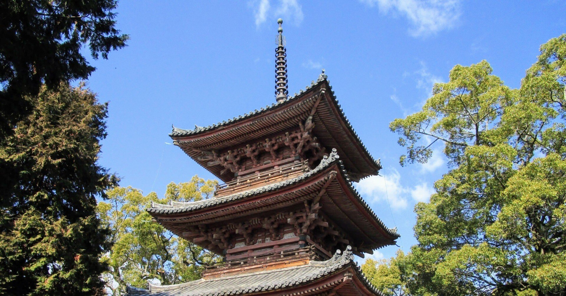 太子忌の思い出 播磨の斑鳩寺 ：2｜美術館とお寺と猫