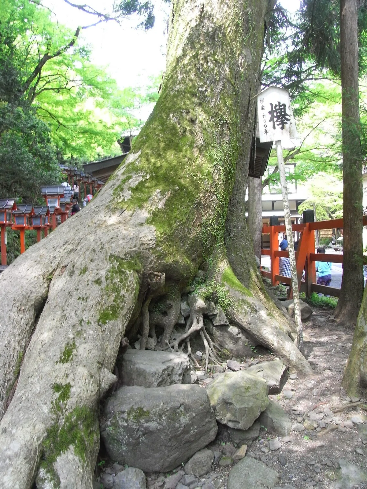 画像6