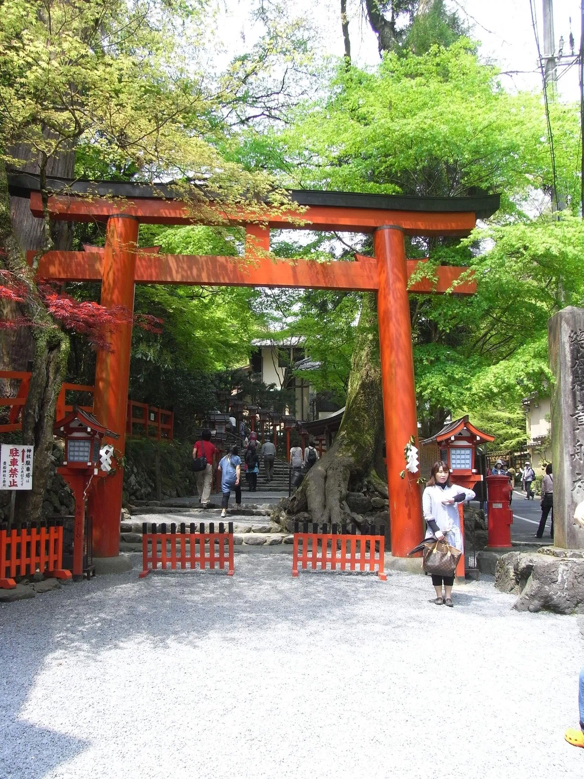 画像7
