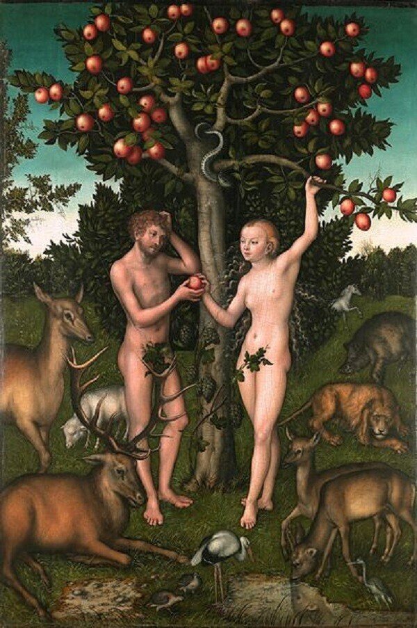 絵　Lucas Cranach　ルーカス クラナッハ Adam and Eve　アダムとイブ　イヴ　エバ　