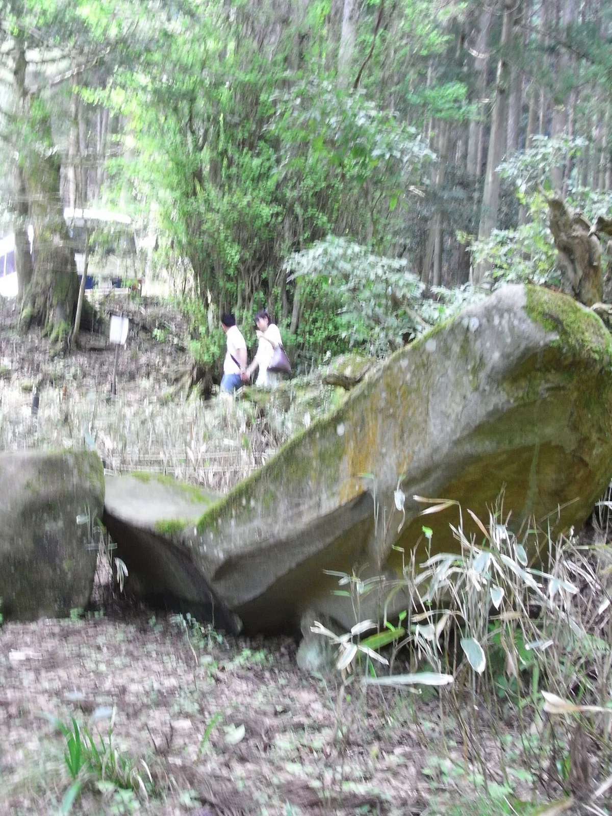 画像12