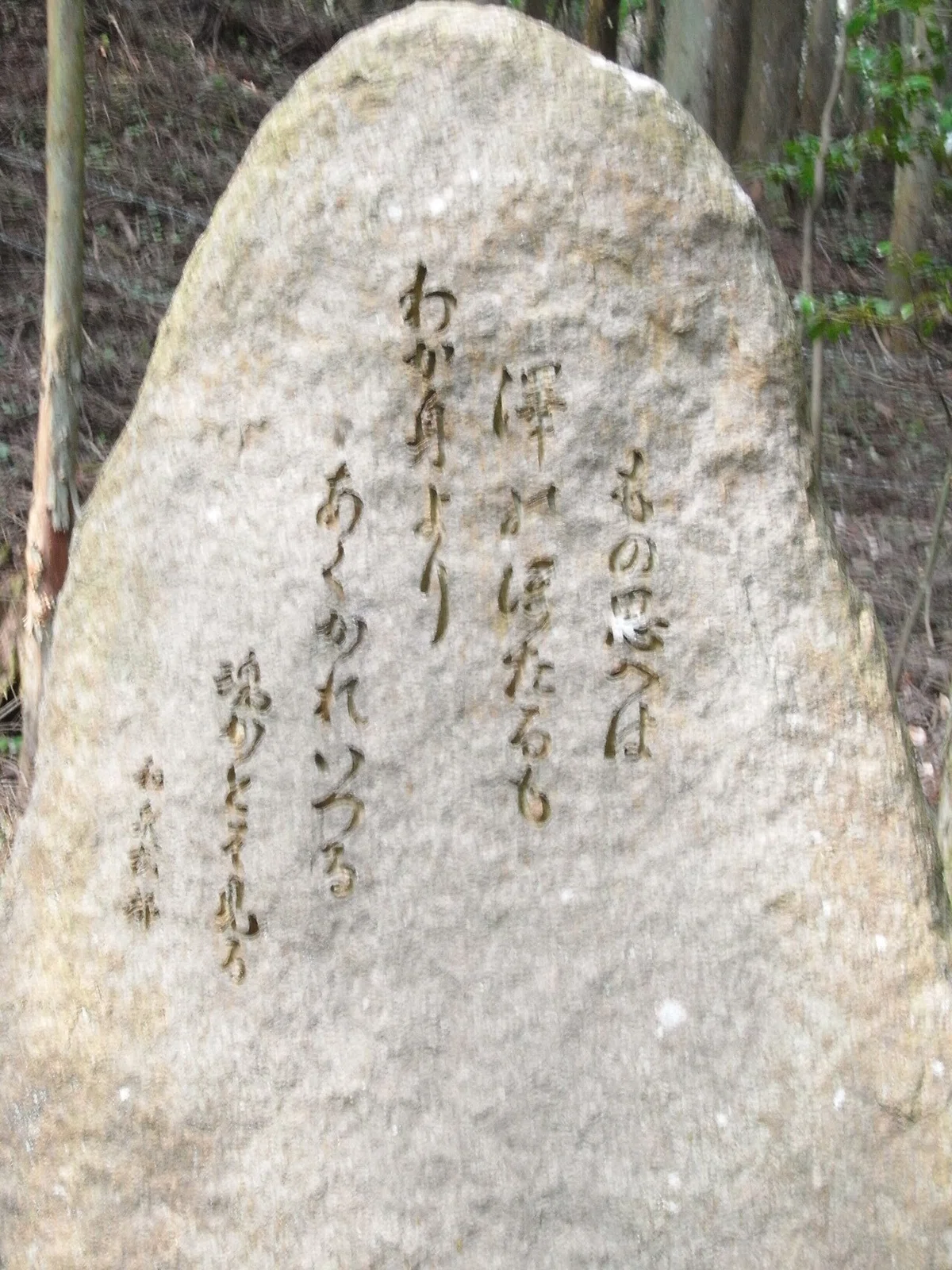 画像14