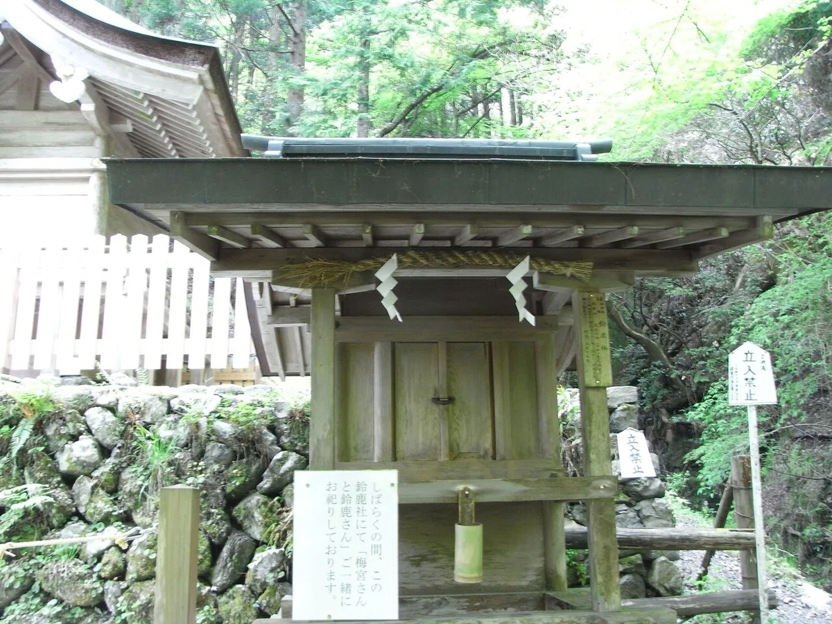 画像25