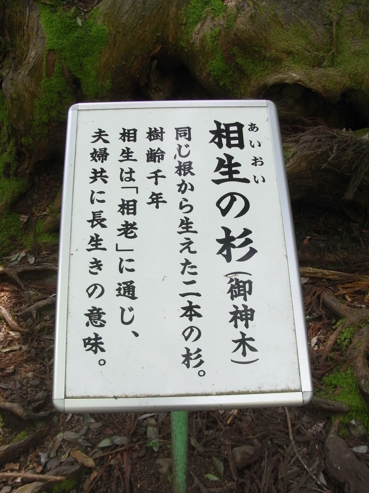 画像28