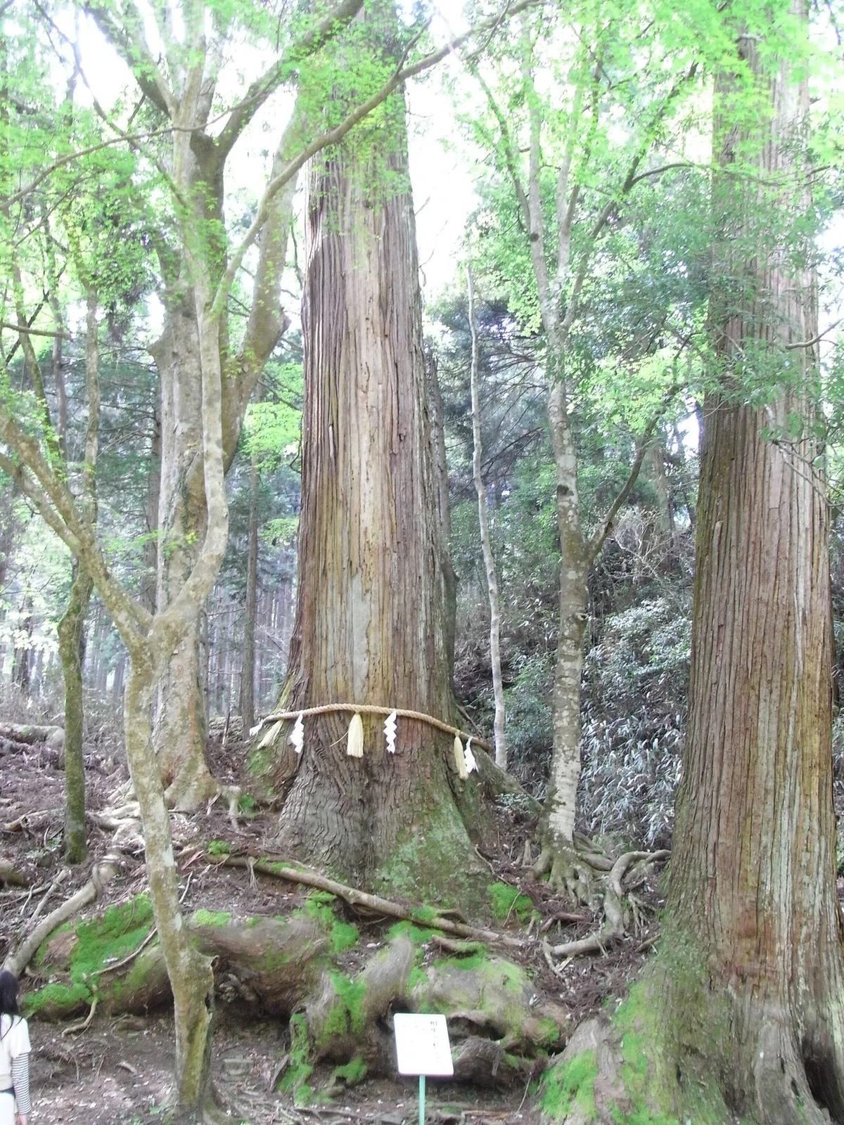 画像29