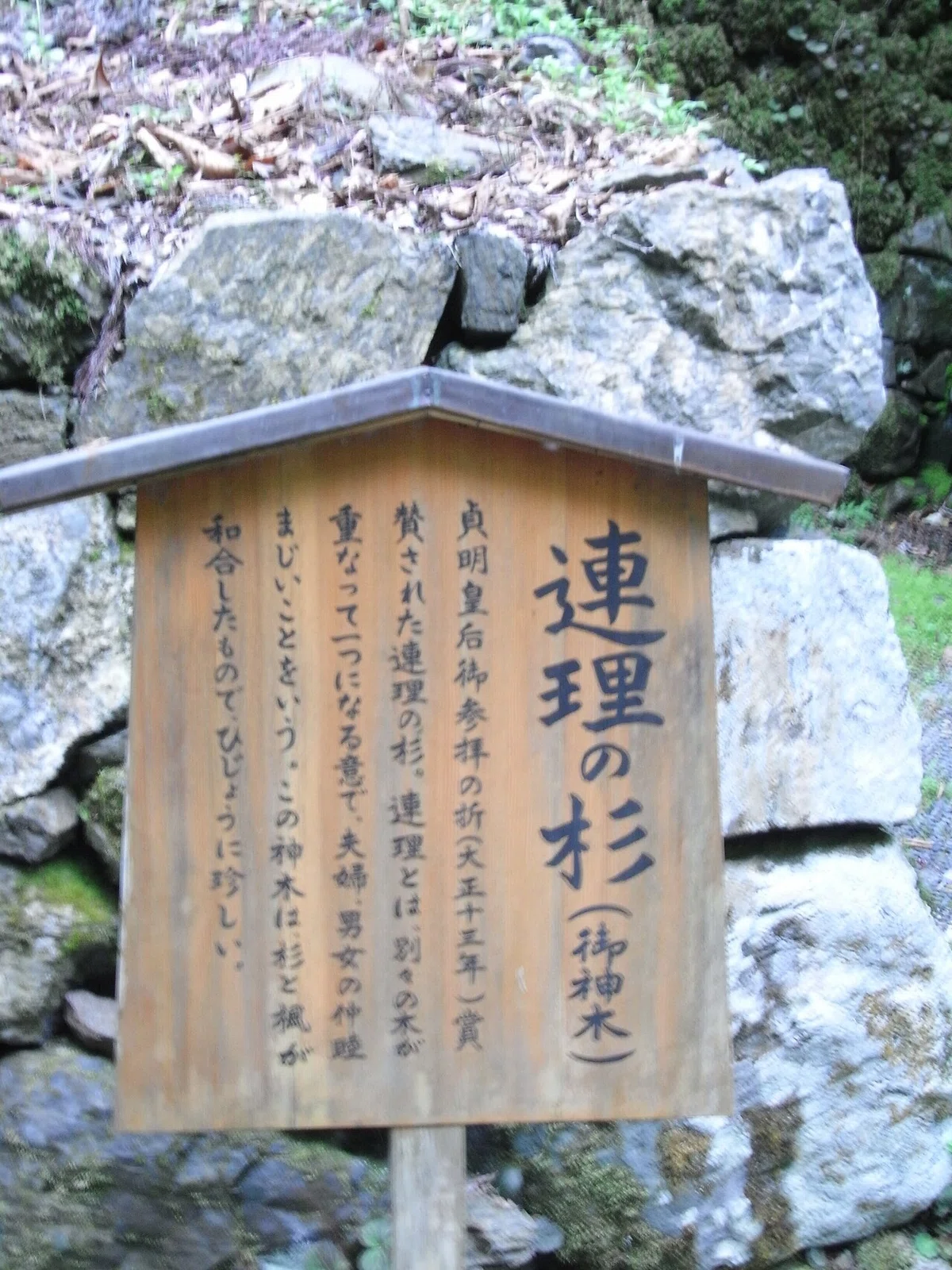 画像34