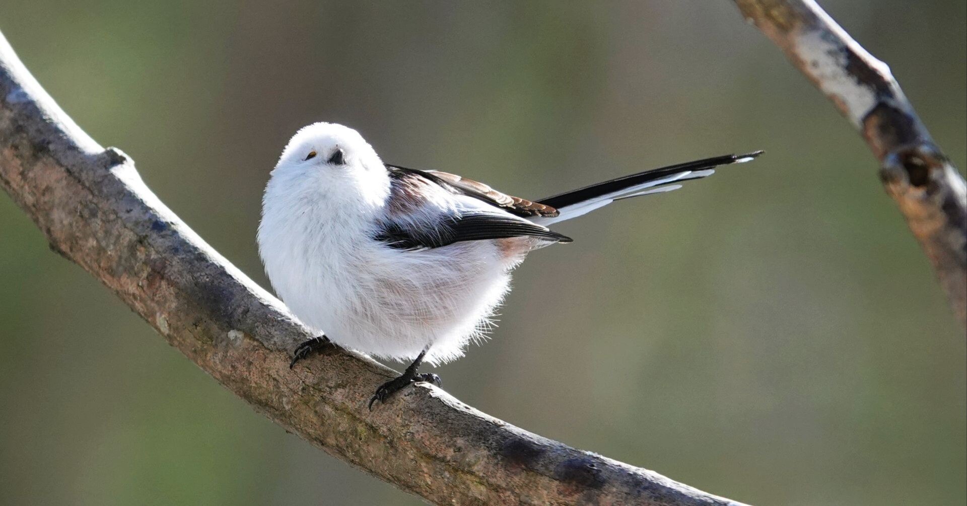 281f70df79fdc8c659c1c9b9fe986d