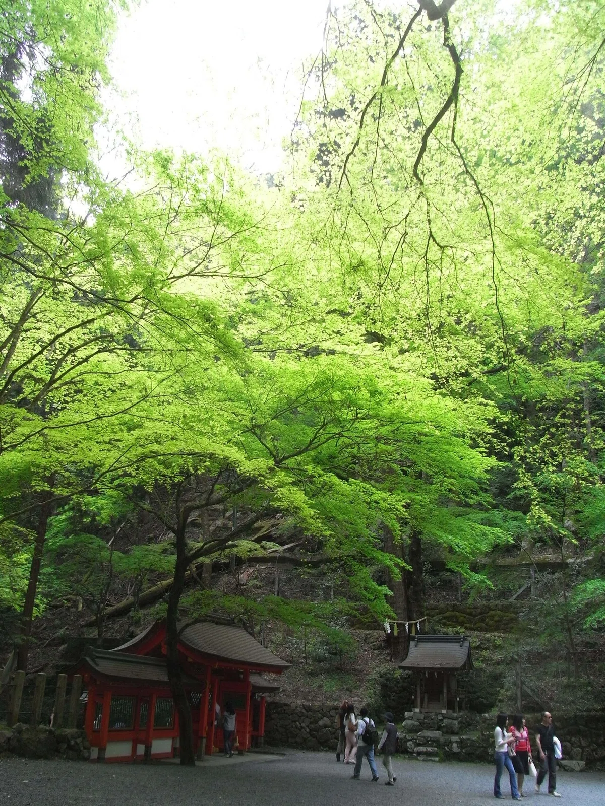 画像42