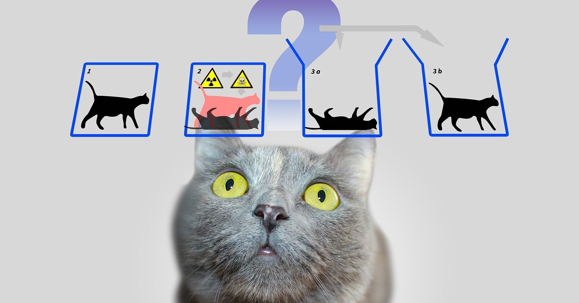 シュレディンガーの猫｜空蝉