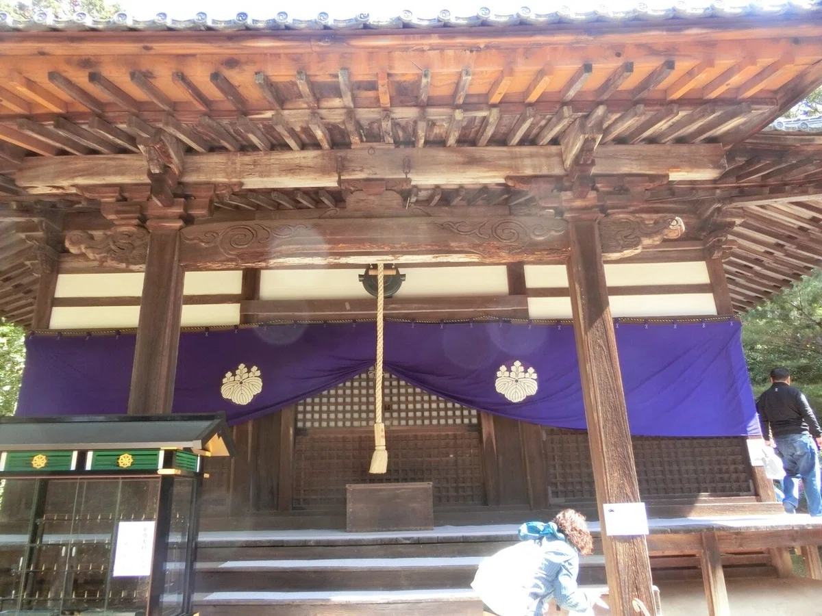 画像5