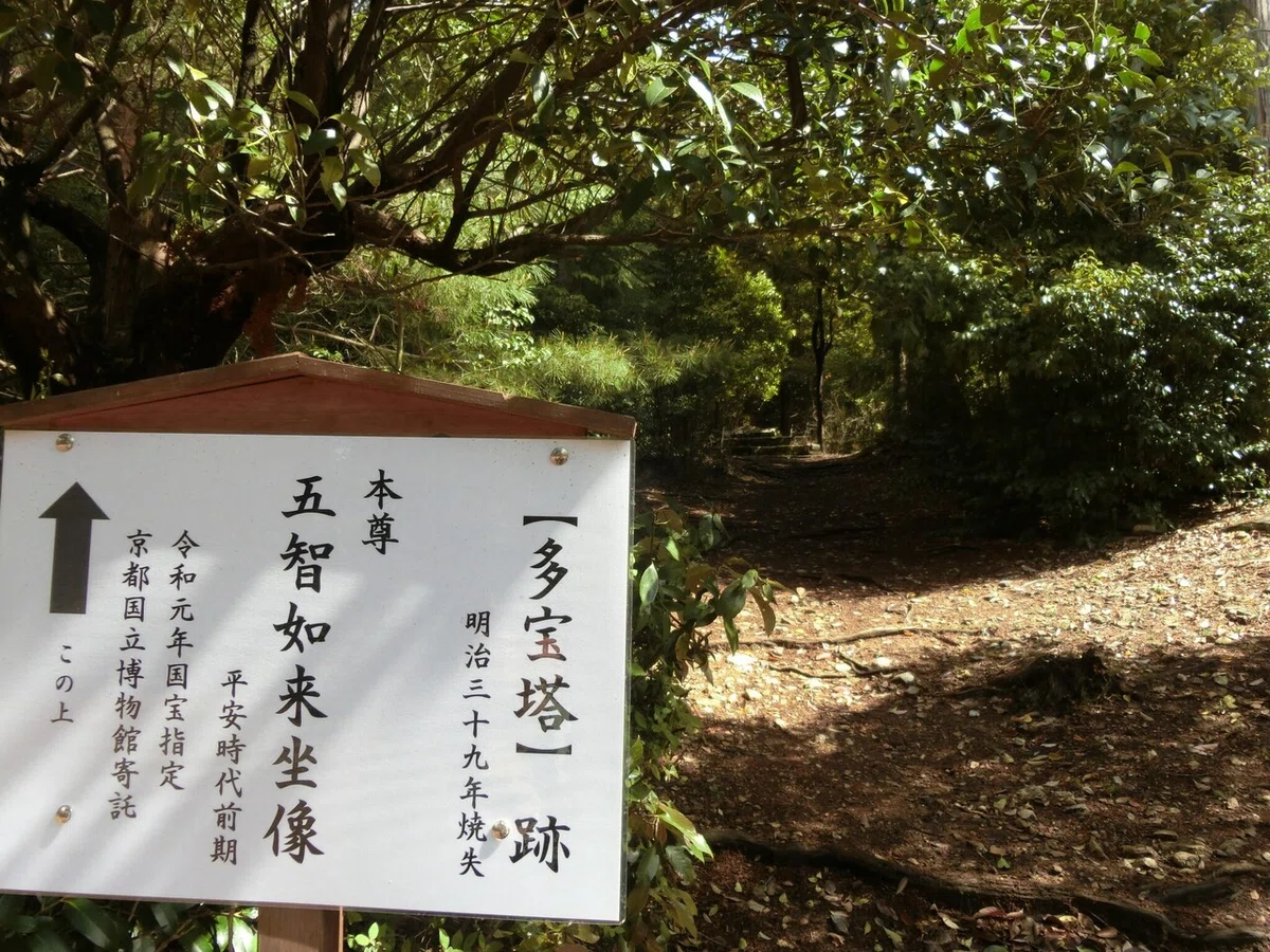 画像6