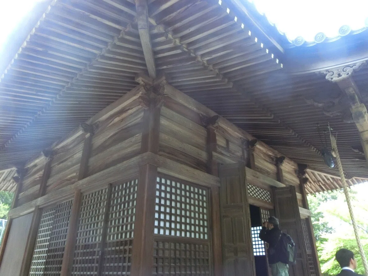 画像7