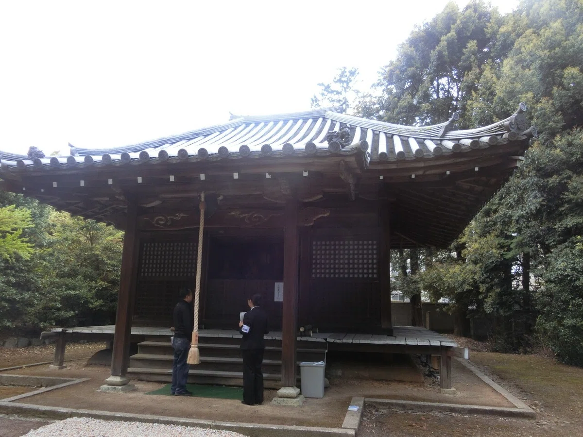 画像8