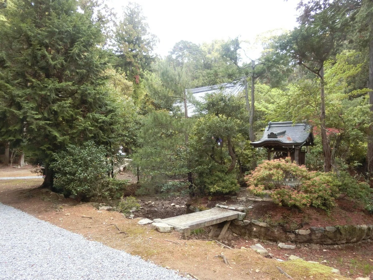 画像9