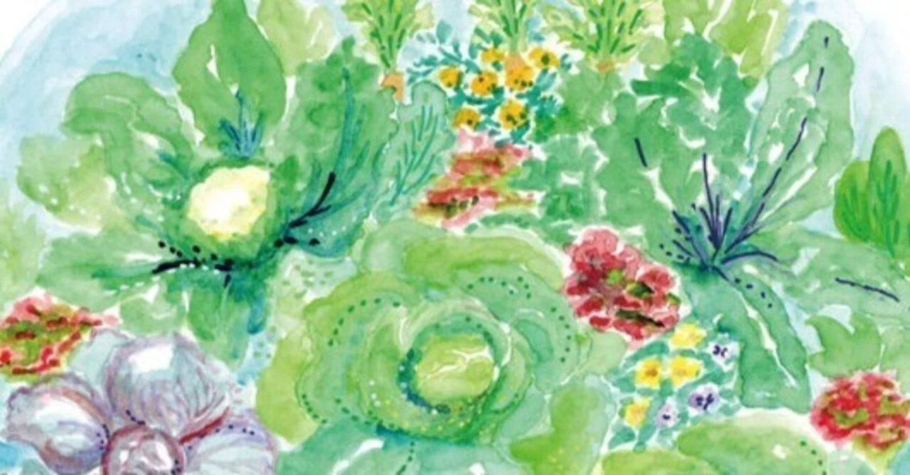 春夏秋冬、畑の色｜マチノニワ/ イラストレーター