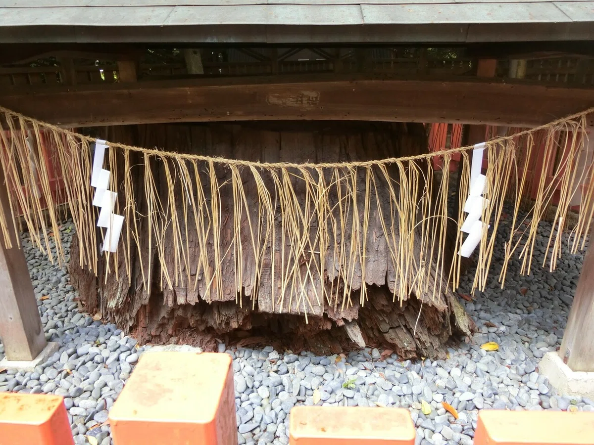 画像6