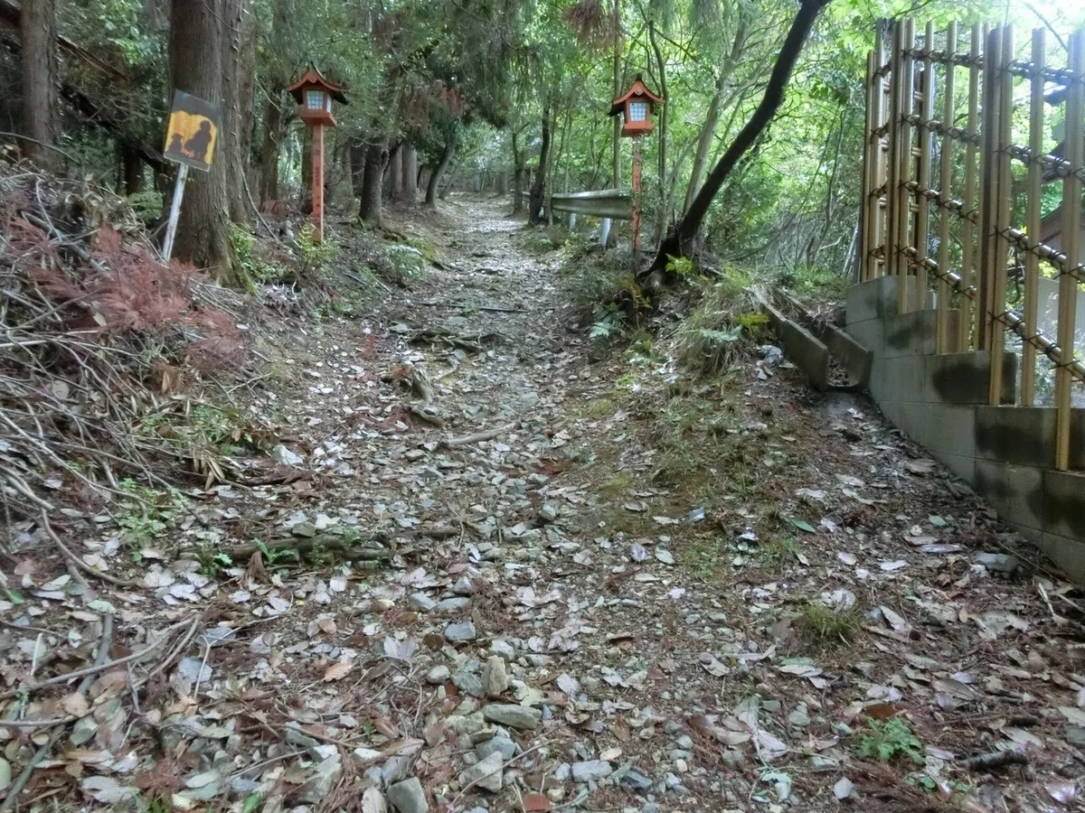 画像11