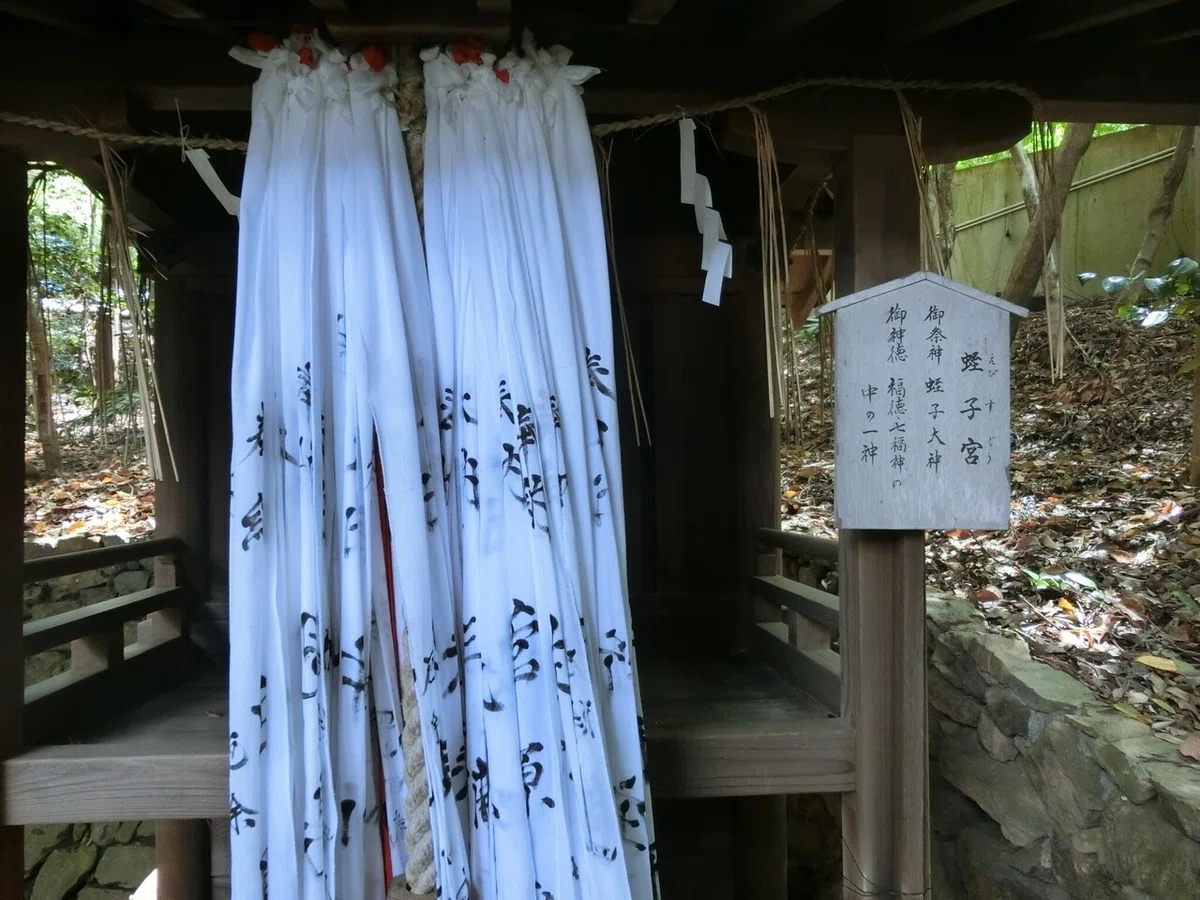画像17