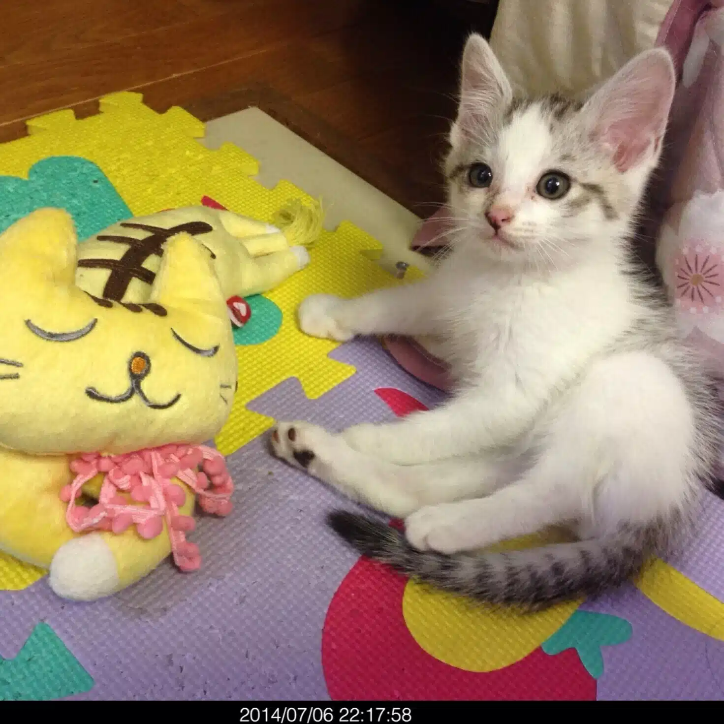 わたみき