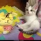 わたみき