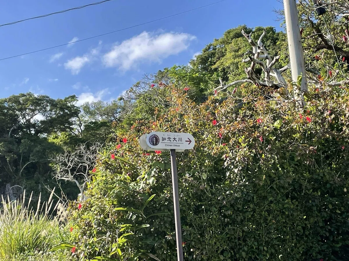 画像147